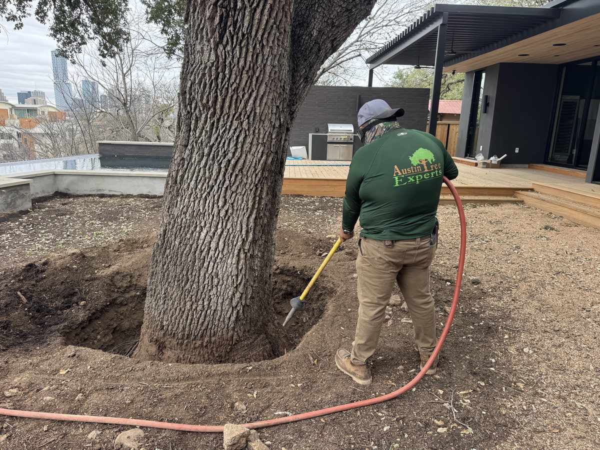 Home Page 11 Air-Spade tool excavating tree roots for inspection in Austin