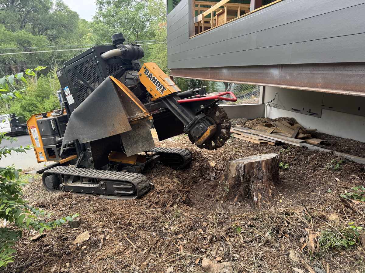 Tree Services 7 Stump grinder in action removing a tree stump at a residential property in Austin