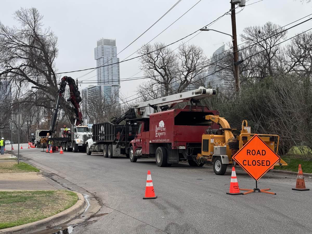 Austin Tree Experts crew working on roadside trees with Austin skyline
