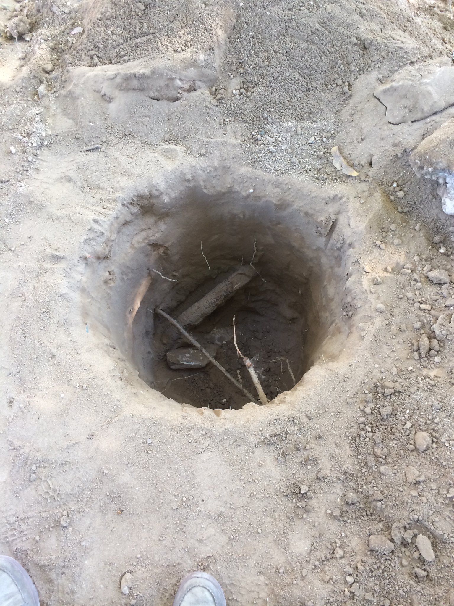 Air-Spade excavation preserving tree roots around pier hole