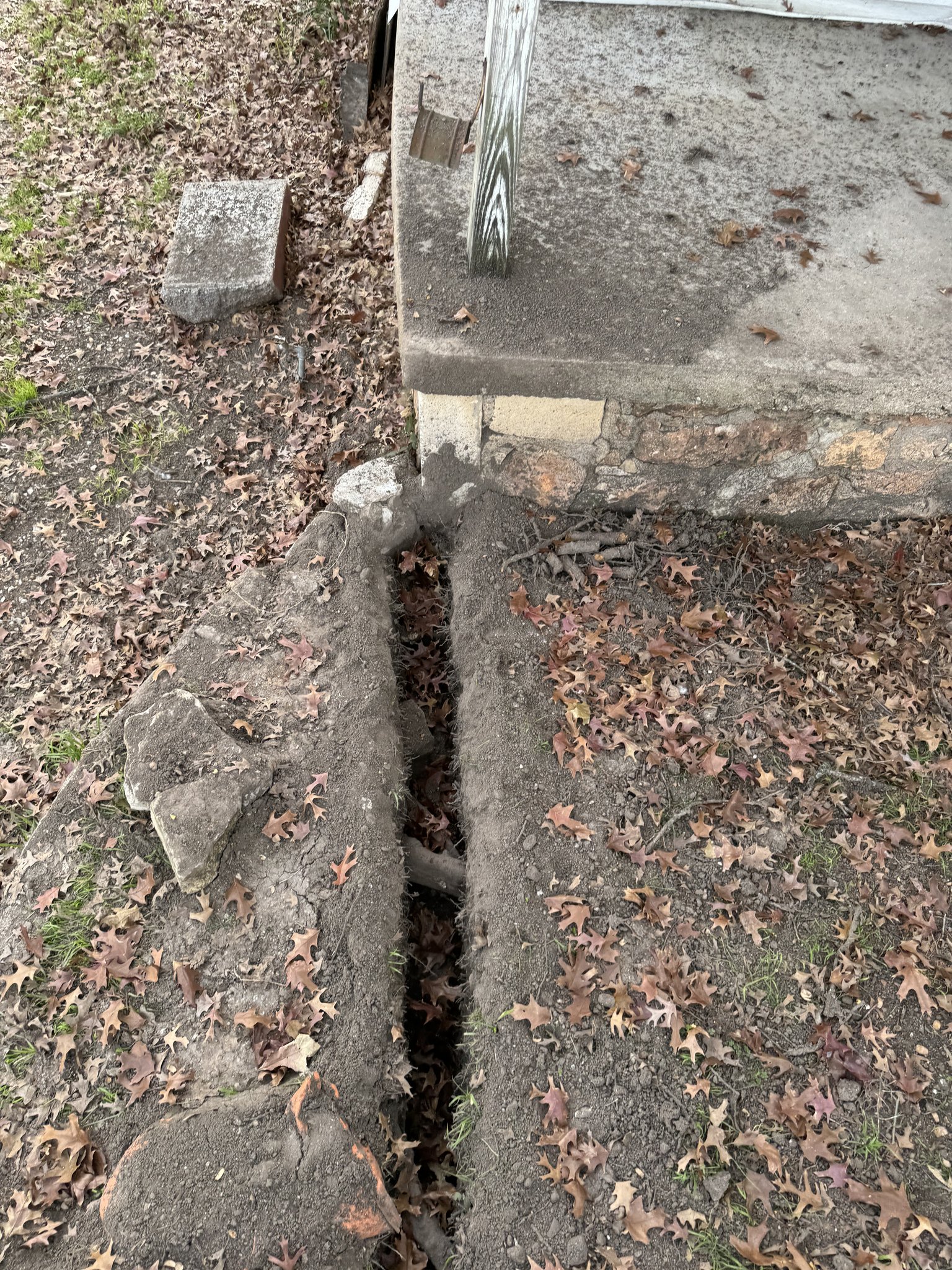 Air-Spade trenching to preserve tree roots near sidewalk