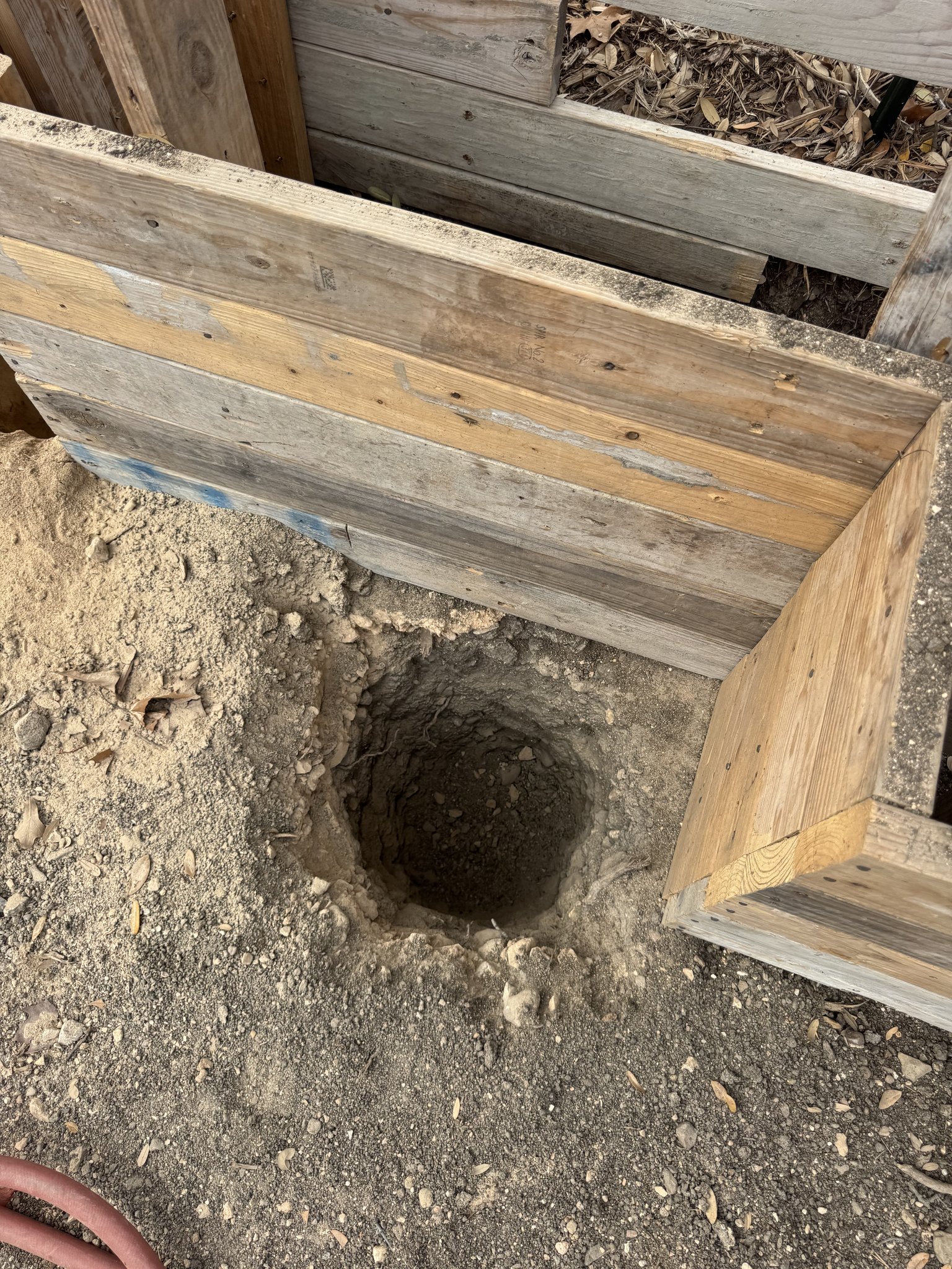 Pier hole excavation with root protection at construction site