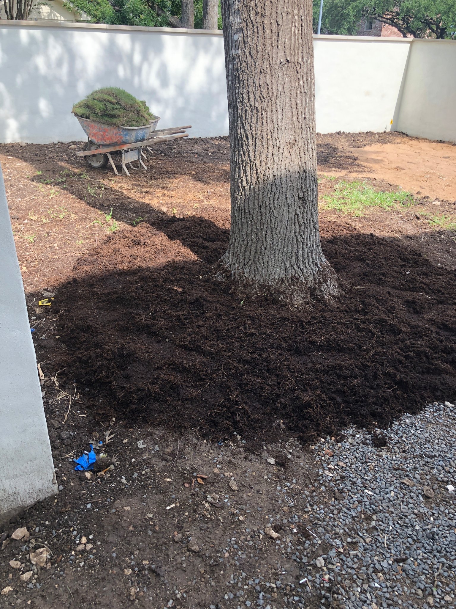 Mulching & Composting 3 Proper mulch application around tree base in Austin landscape