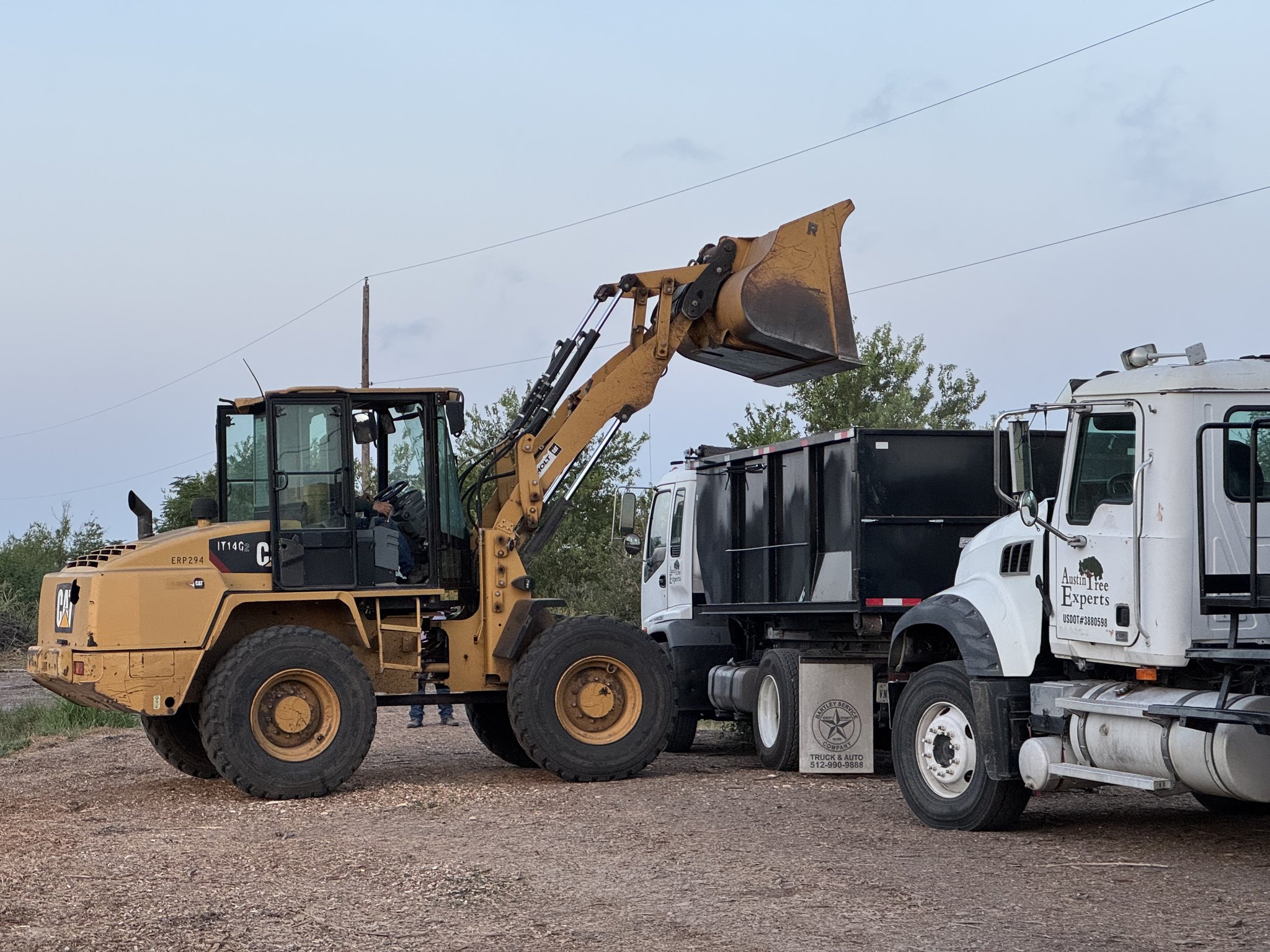 Mulching & Composting 2 CAT loader filling dump truck with mulch at Austin Tree Experts facility