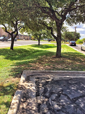storm water runoff mitigation tree