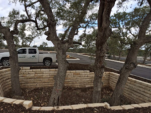 large tree well to collect storm water